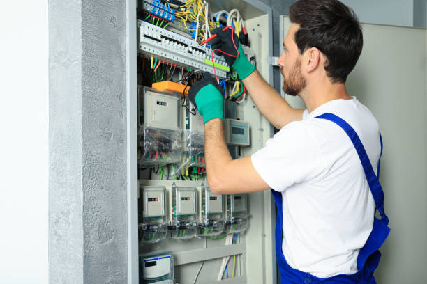 Best Ceiling Fan Installation Electrician  in Interlachen, FL